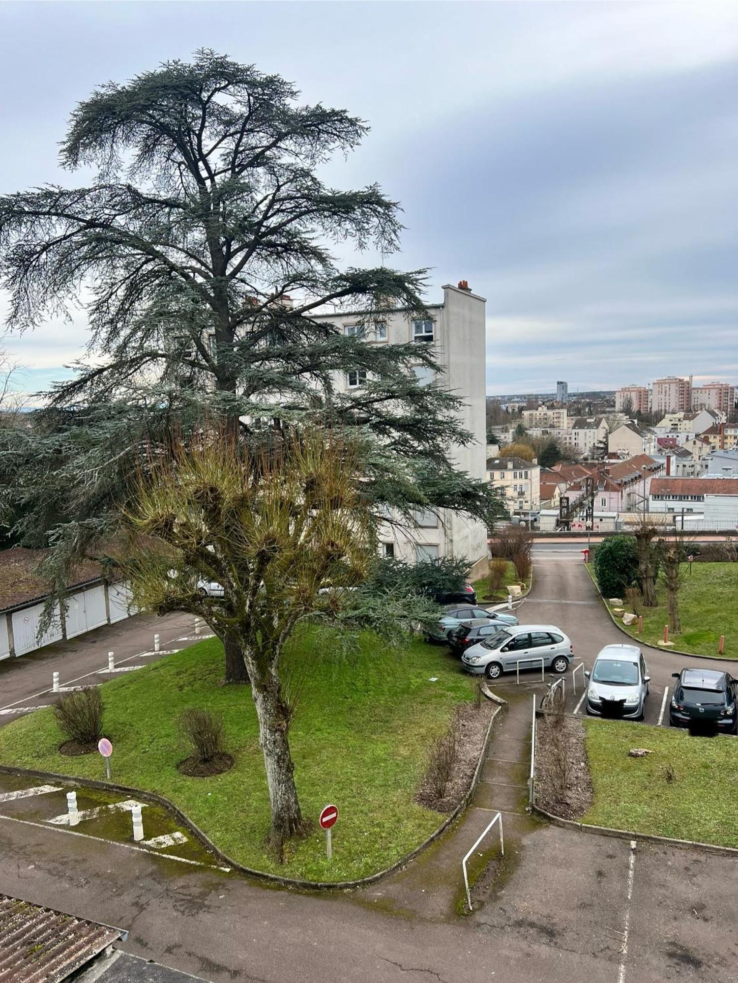 Le Bellevue - T3 - Gare & Les Jardins Darcy - Parking Free Apartment Dijon Exterior foto